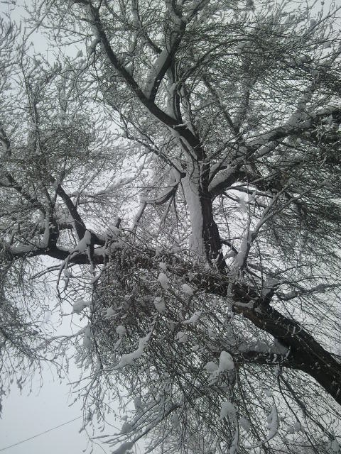 Анастасия Аньхой | Иркутск