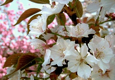 Ola Ap | Донецк