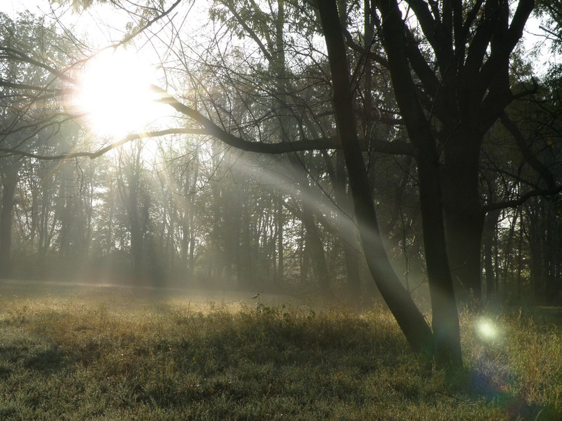 Дмитрий Бакун | Александрия