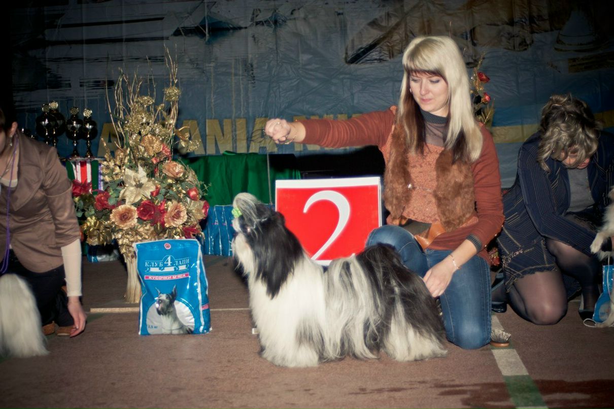 Оля Фартушна | Кривой Рог