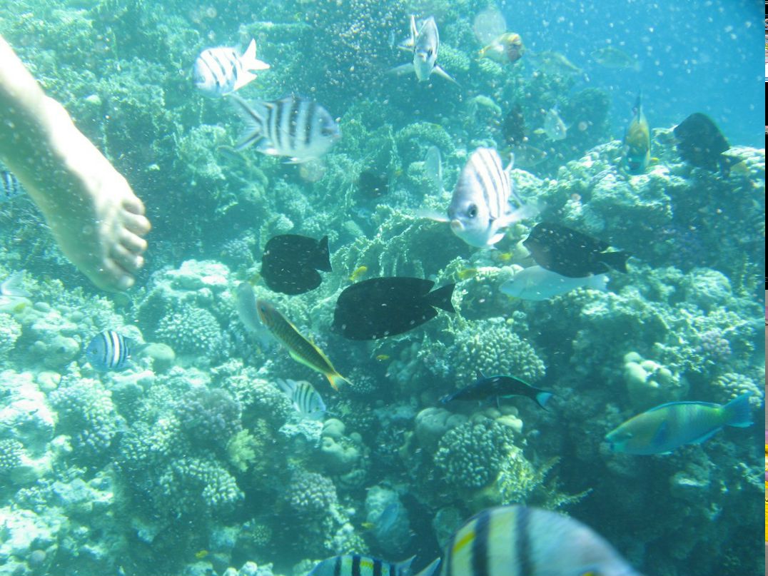 Надежда Кропачева | Киров