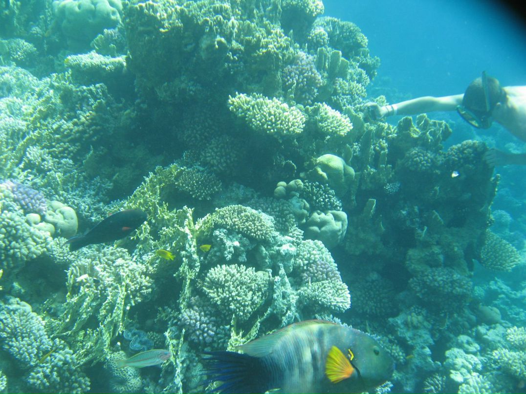 Надежда Кропачева | Киров