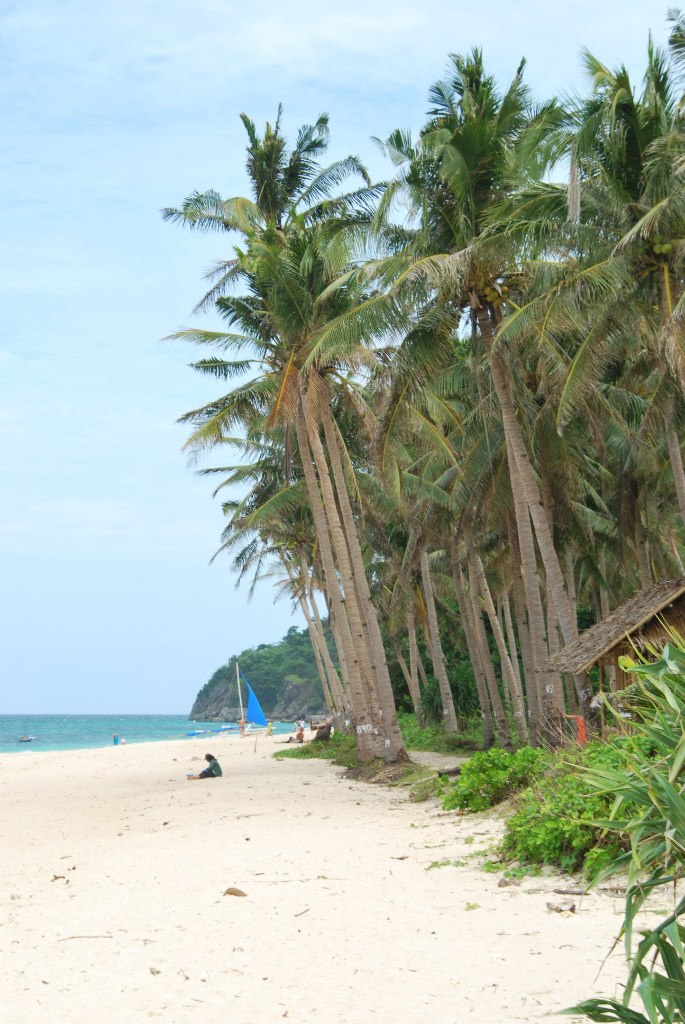 Александра Протопопова | Киев
