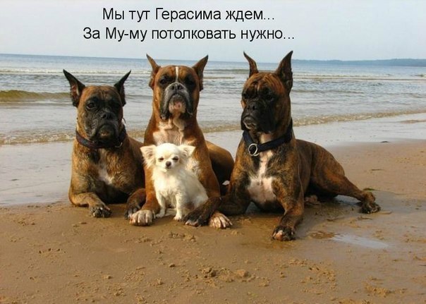 №31, Татьяна Кутуть, 55 лет, Северодонецк №31, Татьяна Кутуть, 55 лет, Северодонецк