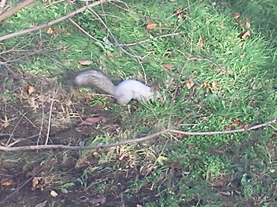 Павел Мальцев | 