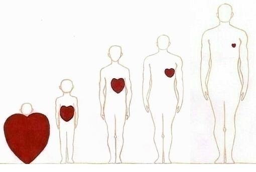 Сергей Сухарь | Ухта