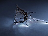 Александр Тягни-рядно | Санкт-Петербург