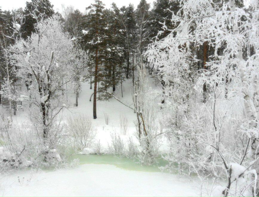 Екатерина Резникова | Ачинск