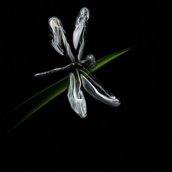 №115, Полина Янсон, 52 года, Санкт-Петербург №115, Полина Янсон, 52 года, Санкт-Петербург