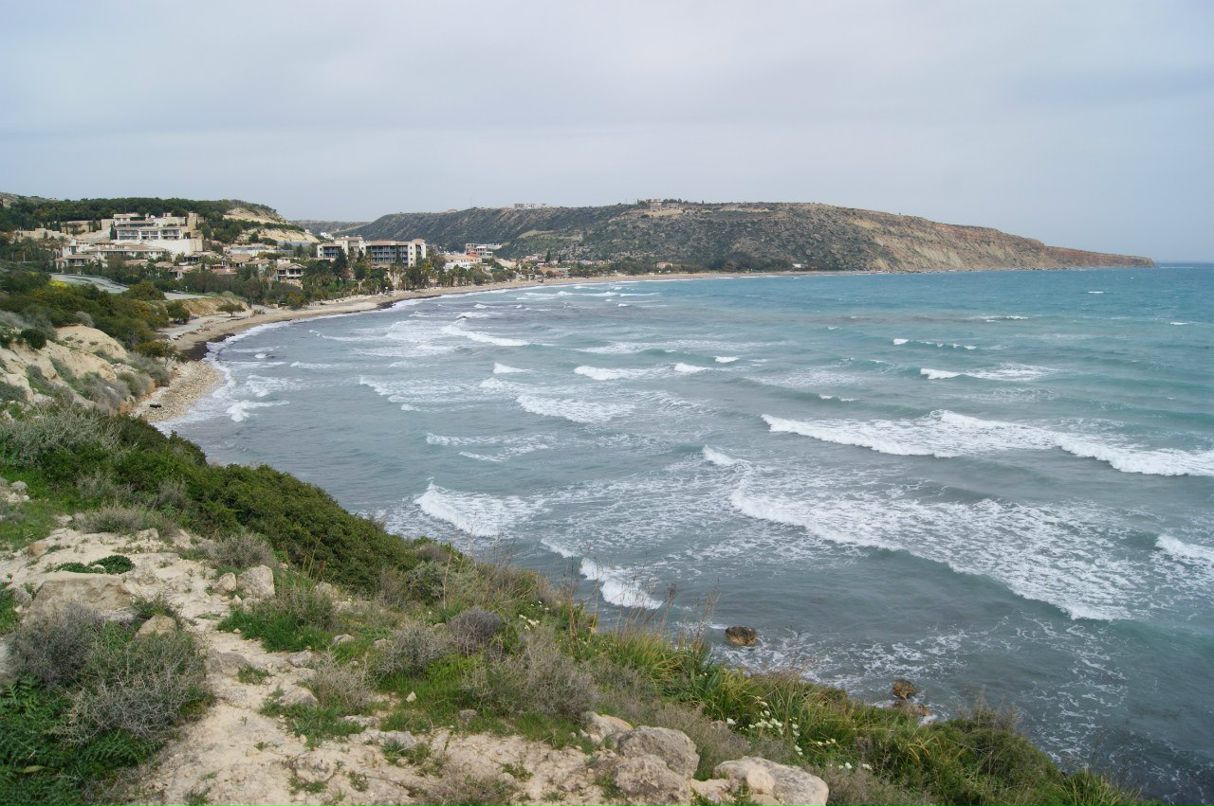 Анатолий Зырянов | Москва