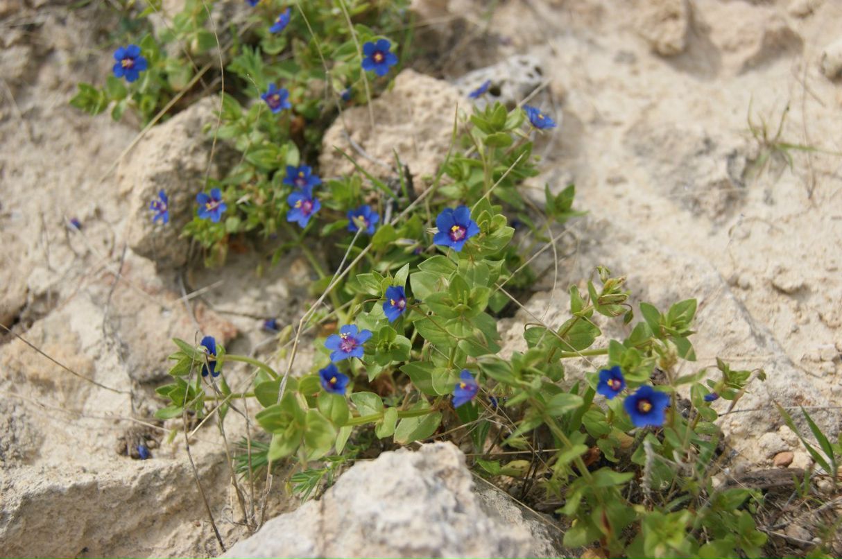 Анатолий Зырянов | Москва
