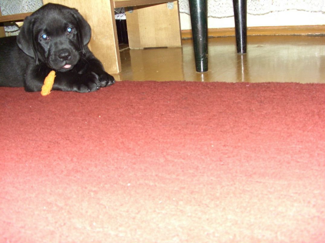 Светлана Кураева | Рыбинск