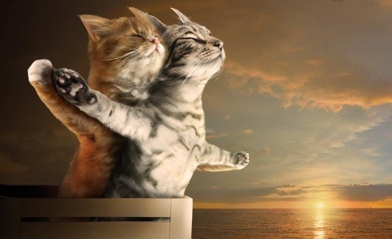 Анастасия Мурадимова | Прокопьевск