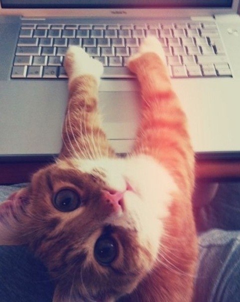 Азат Кабиров '武士道' | Нижнекамск