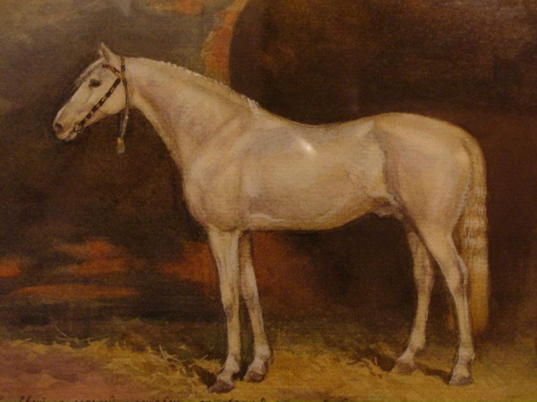 Андрей Пащенко | Харьков