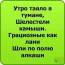 Фотография Бронислав Новиков