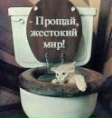 №21 Татьяна Кнауб 02.11: профиль, фото, статус - ВКонтакте