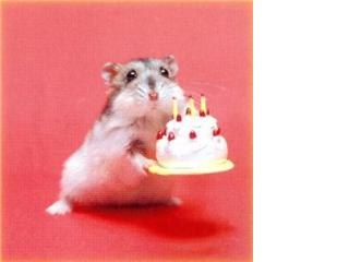 Екатерина Мякишева Mysterious | Тольятти