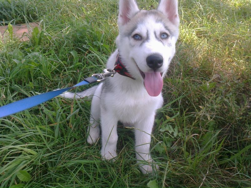 №95, Макс Пешков, 40 лет, Киев №95, Макс Пешков, 40 лет, Киев