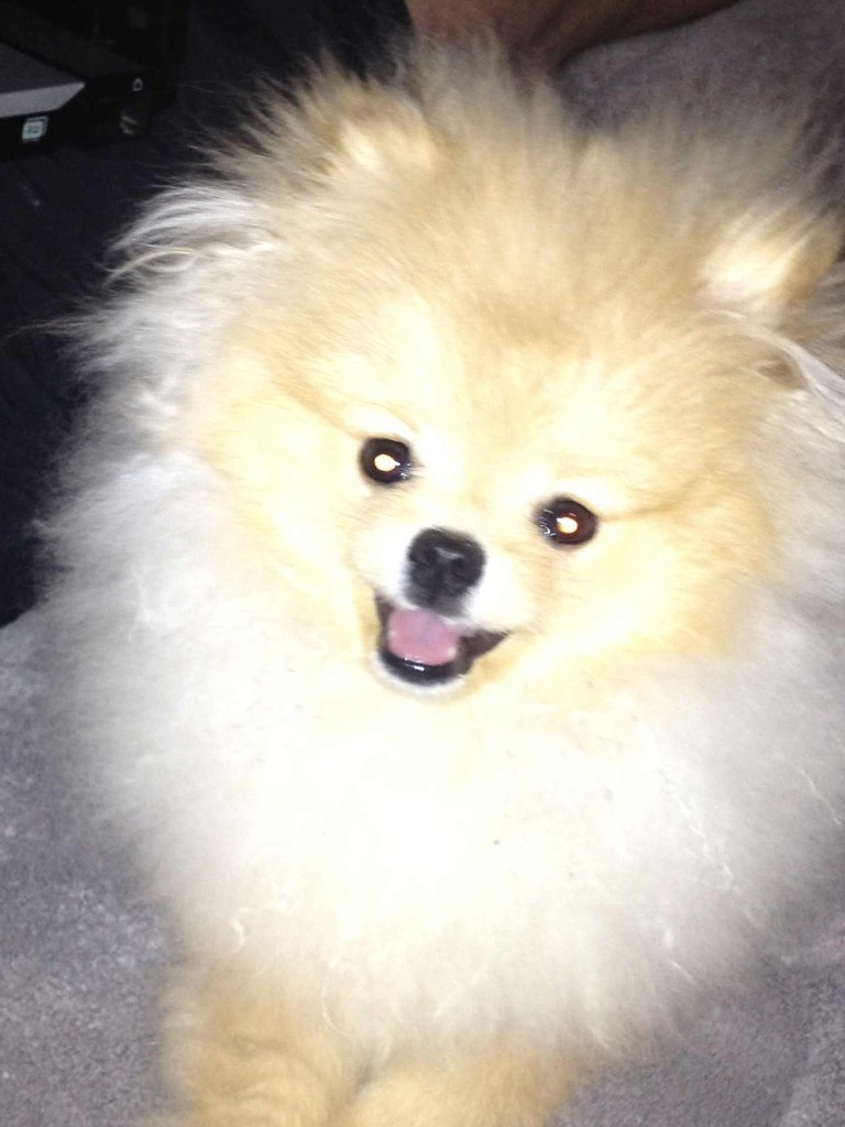 Виктор Викторович | 