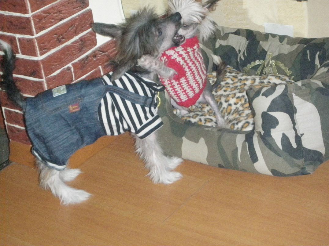 Валерия Голякова | Санкт-Петербург