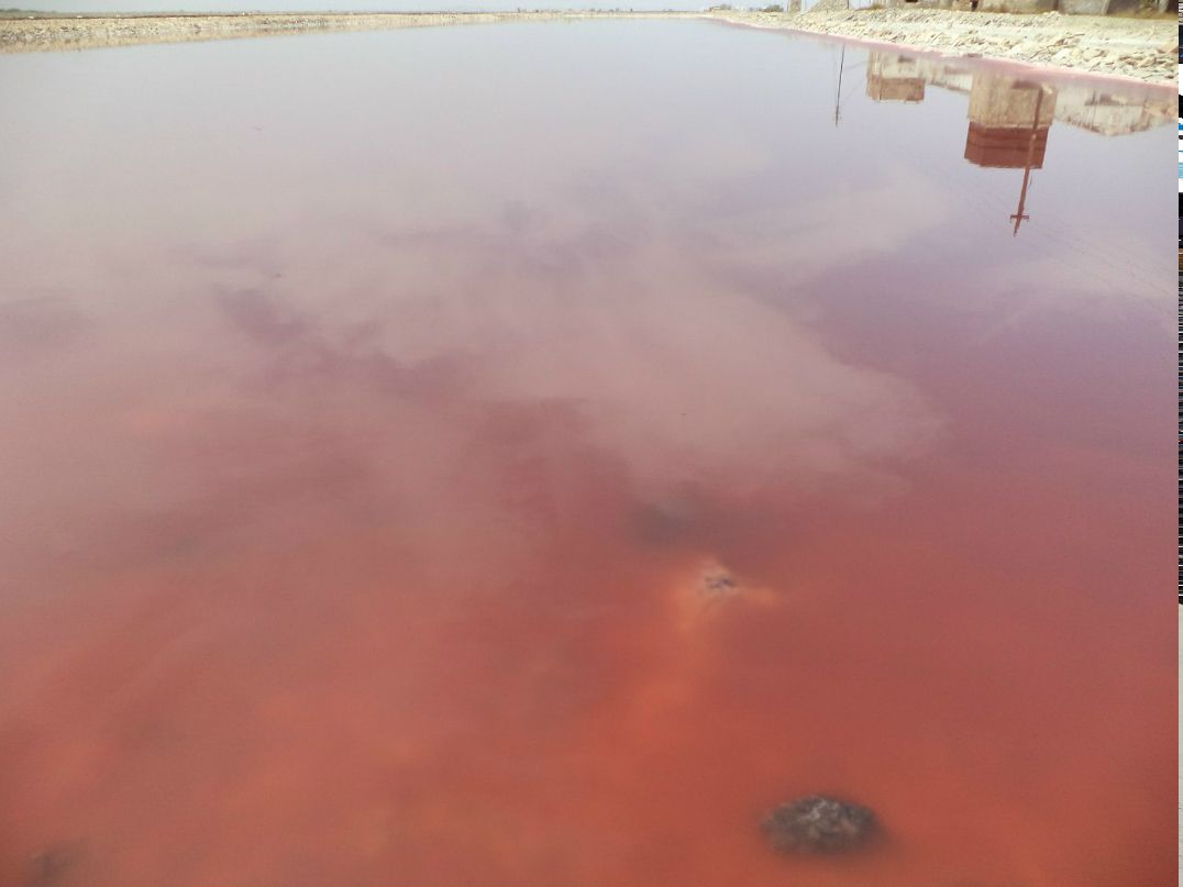 Дмитрий Фоменко | Москва