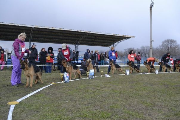 №86, Ольга Брусник, Кривой Рог №86, Ольга Брусник, Кривой Рог