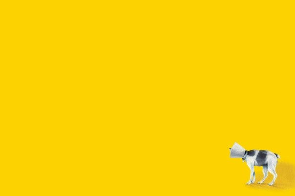 Катя Новикова | Смоленск