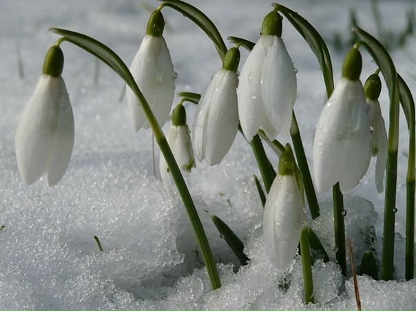 №41, Елена Маерс, Екатеринбург №41, Елена Маерс, Екатеринбург