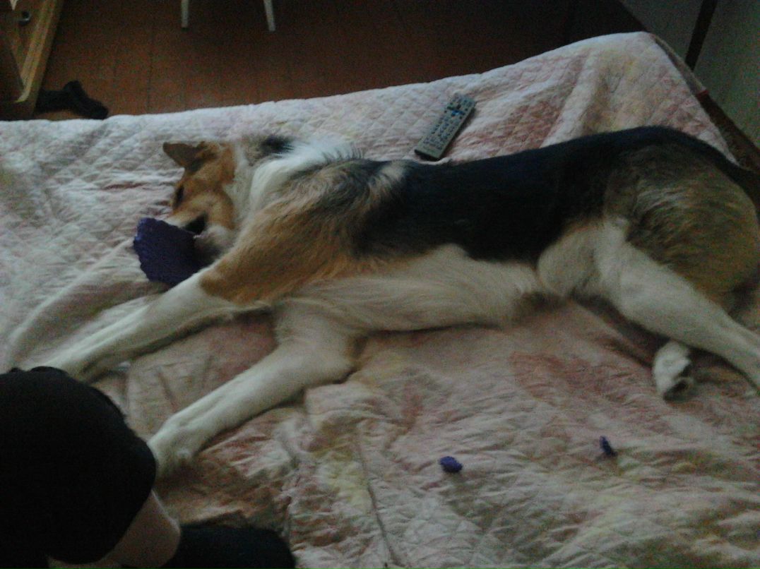 Александр Симонов | Архангельск