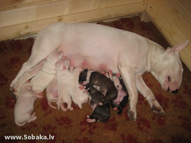 Тоха Рачков | Новочеркасск