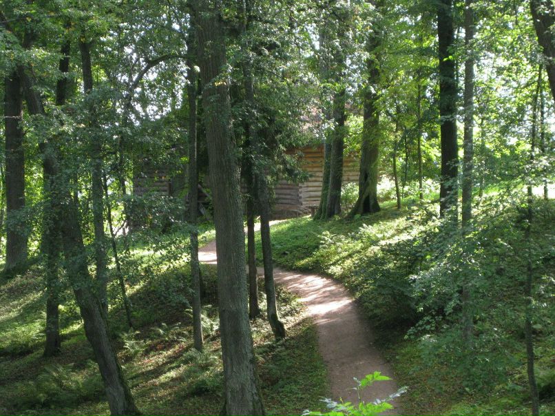 Алексей Антонов | Старая Русса