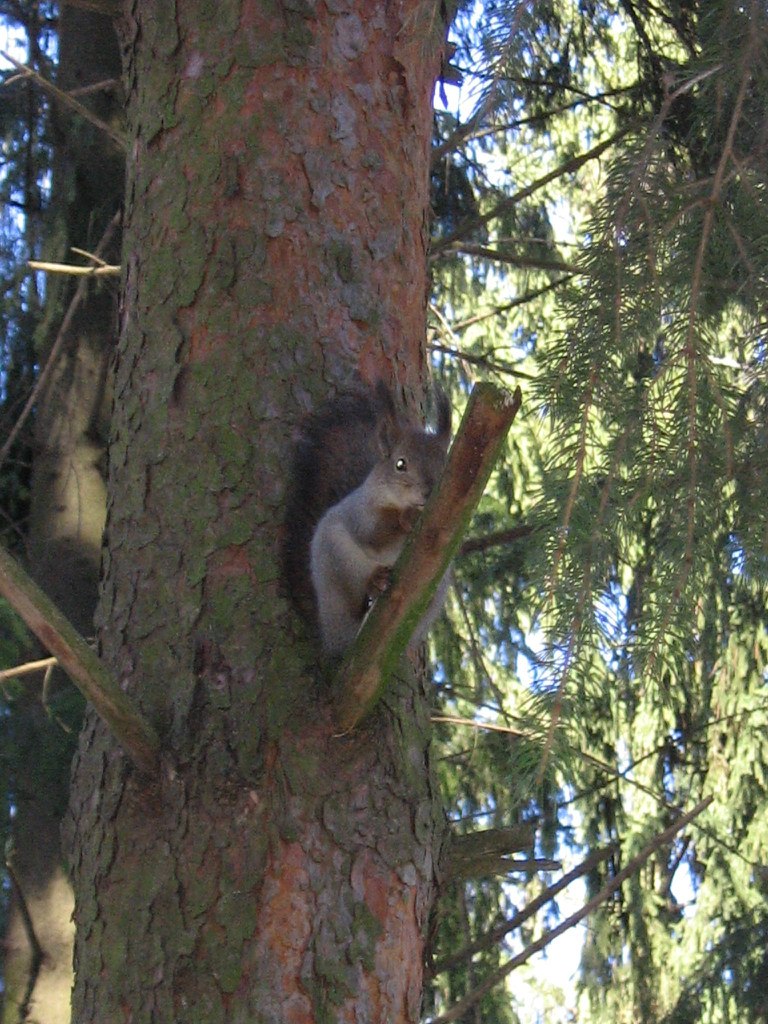 Мария Ишмуратова | Санкт-Петербург
