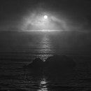 Женька Аракчеев | Санкт-Петербург