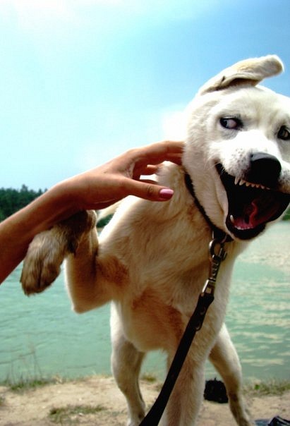 №40, Michael Yugov, 33 года, Челябинск №40, Michael Yugov, 33 года, Челябинск