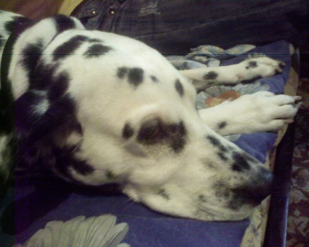 №16, Витос Клим, 40 лет, Николаев №16, Витос Клим, 40 лет, Николаев