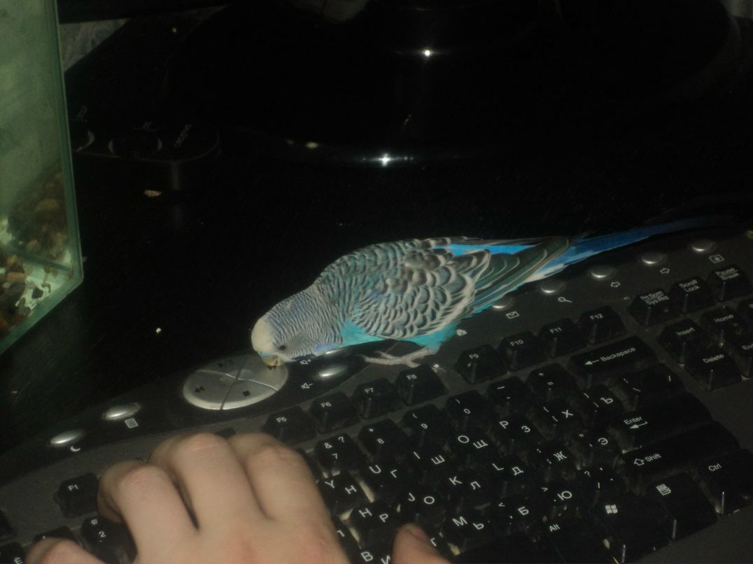 Леся Знак | Кандалакша