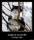 Фотография Саша Зыганшин