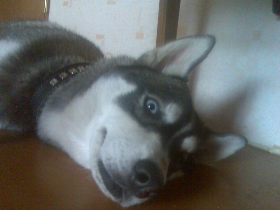 Серёжа Атепалихин | Слободской