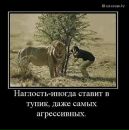 №32 Катерина Грин 23.12: профиль, фото, статус - ВКонтакте №32 Катерина Грин 23.12: профиль, фото, статус - ВКонтакте