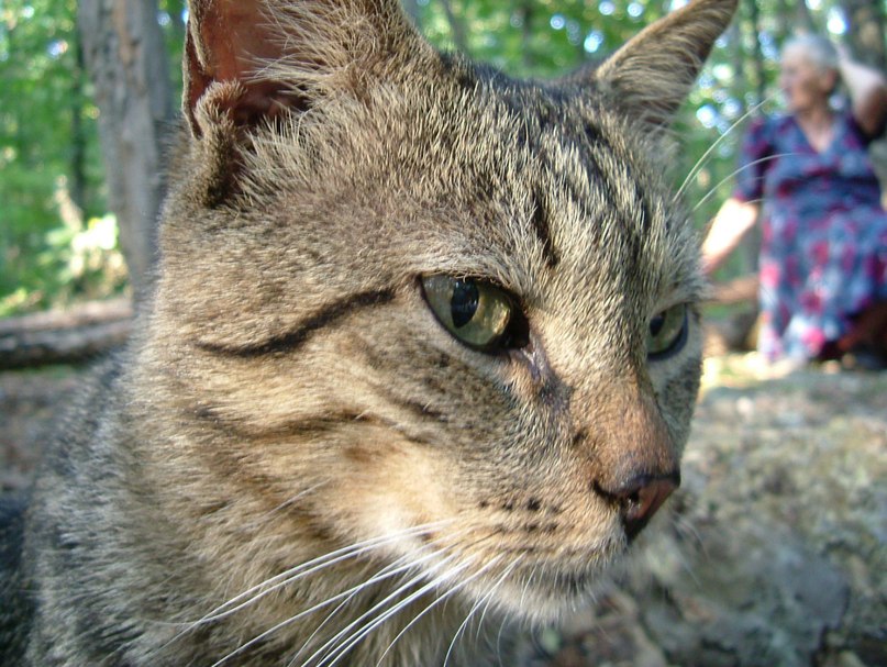 Ольга Орлова Евгеньевна | Краснодар