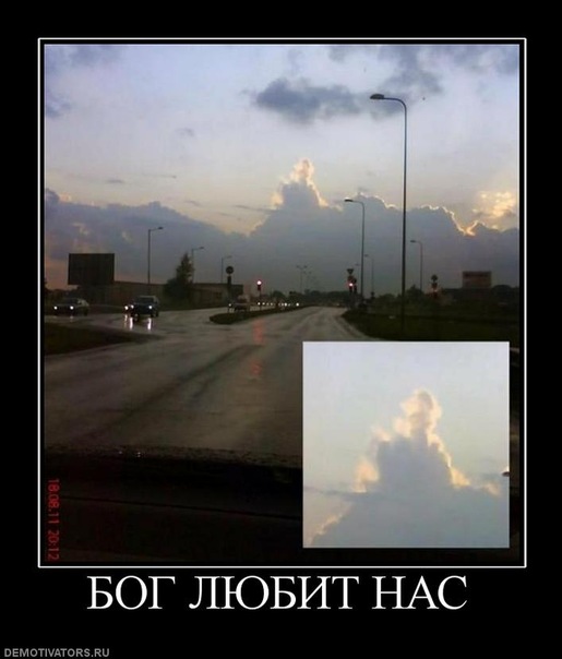 №16, Николай Кольцов №16, Николай Кольцов