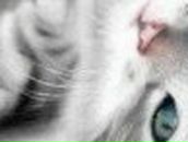 Алсу Мурыгина | Казань