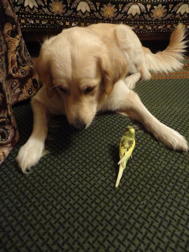 Юлия Беляева | Донецк