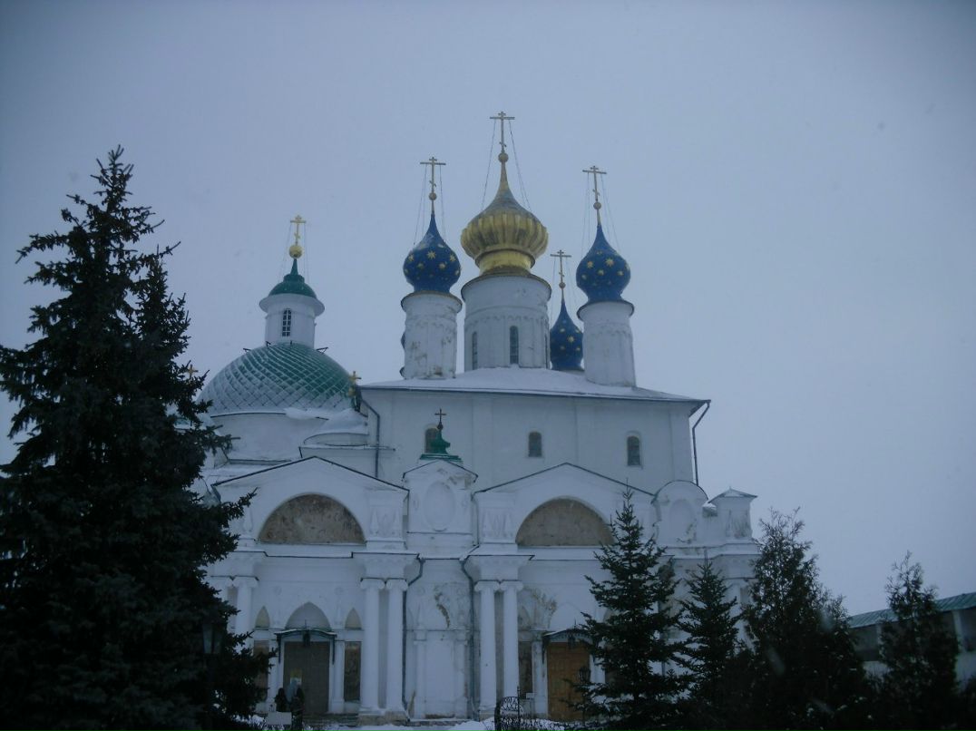 Наталья Своднина | Химки