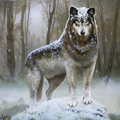 №7, Никита Александров №7, Никита Александров