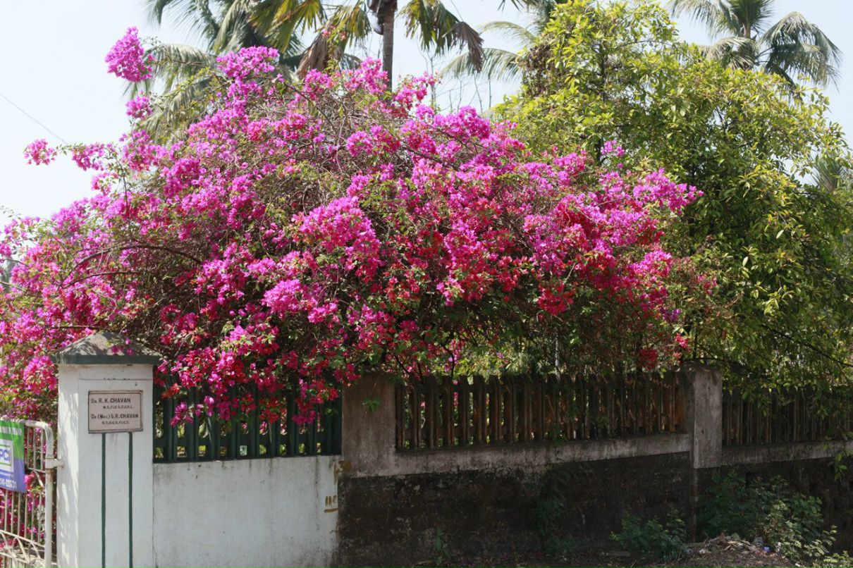 Мария Михайлова | Протвино