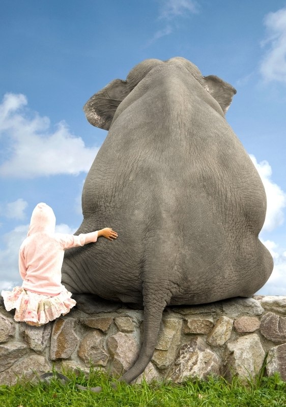 Макс Мариненко ♘ | Тамбов