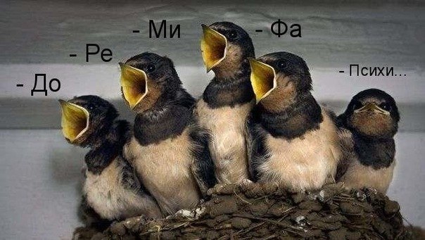 Ольга Чайкина | Владивосток