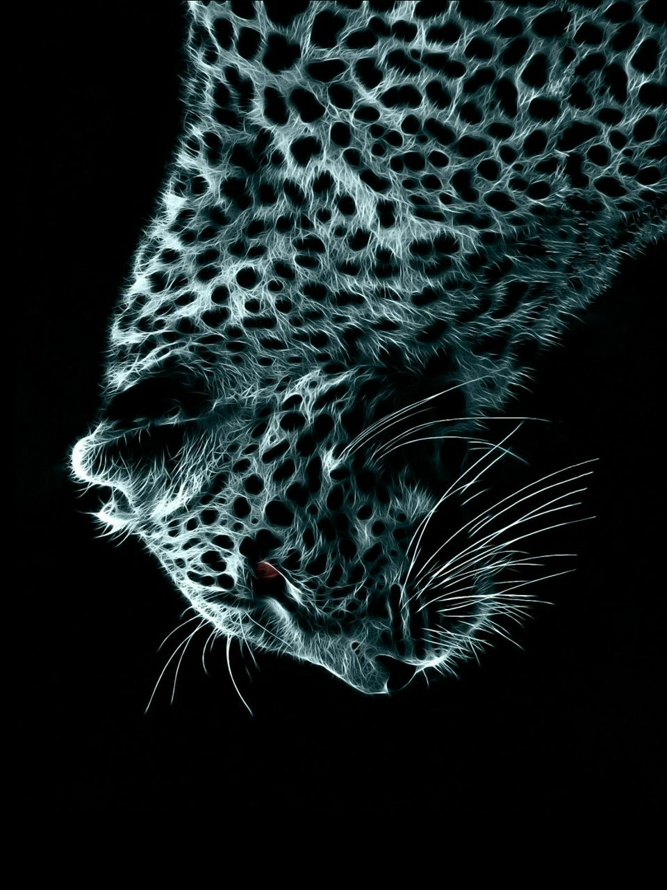 Дмитрий Щевченко | Москва